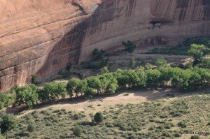 Canyon de Chelly - Photo by Harold Carey Jr.