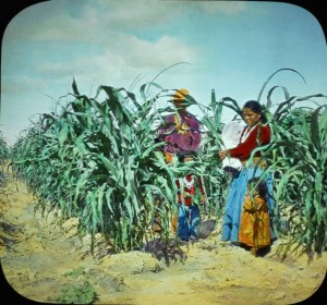 Navajo family in a corn field in northern New Mexico