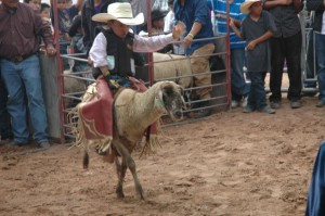 Navajo-Wooly-Riding-002