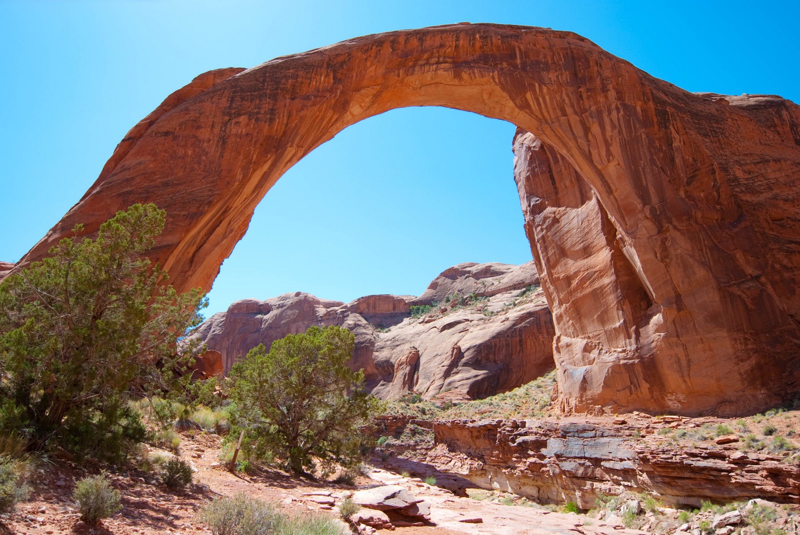 Rainbow Bridge On Emaze