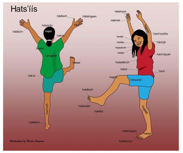 Parts of the Body in Navajo Language