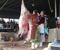 Navajo Sheep Butchering Contest-03