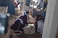 Navajo Sheep Butchering Contest-07