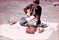 Navajo Weaver Carding Wool
