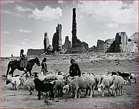 Three Navajo Women Sheepherders