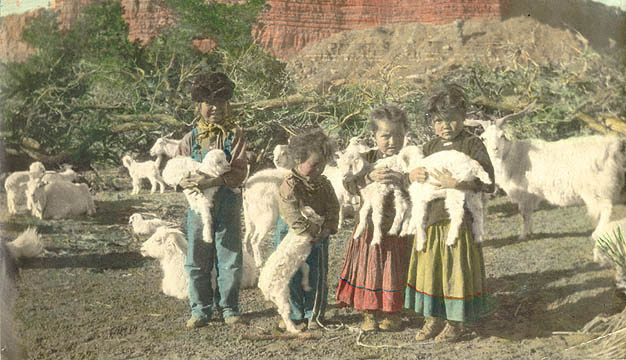 Navajo children and baby goats 1925
