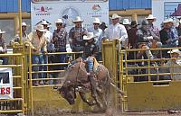 Open Indian  Rodeo