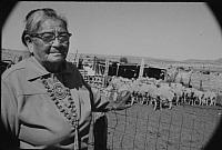 Dorthea Begay, Navajo sheep rancher, New Mexico 1996